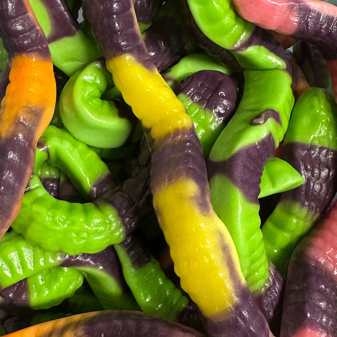 Vidal Giant Anacondas