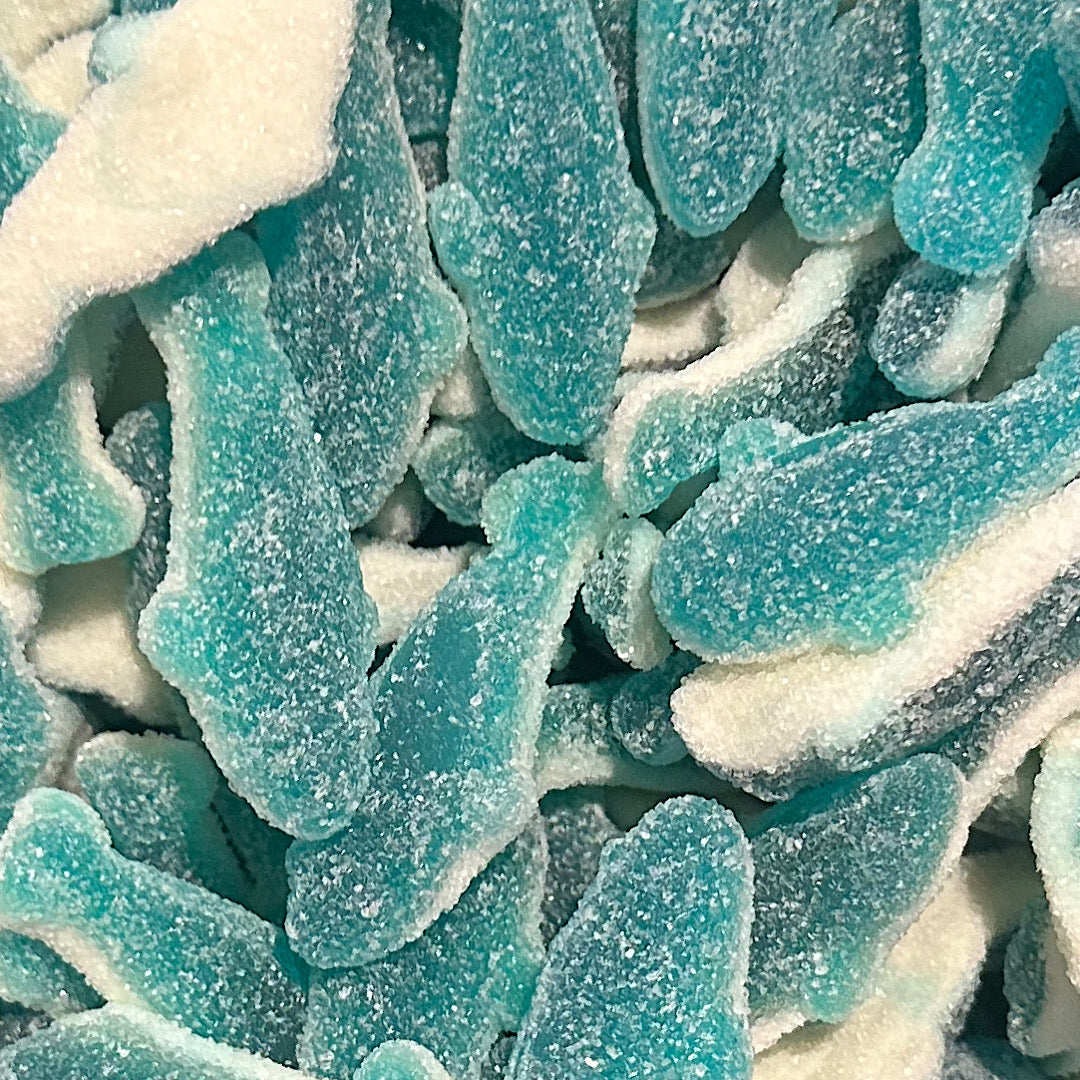 Sugared Blue Sharks