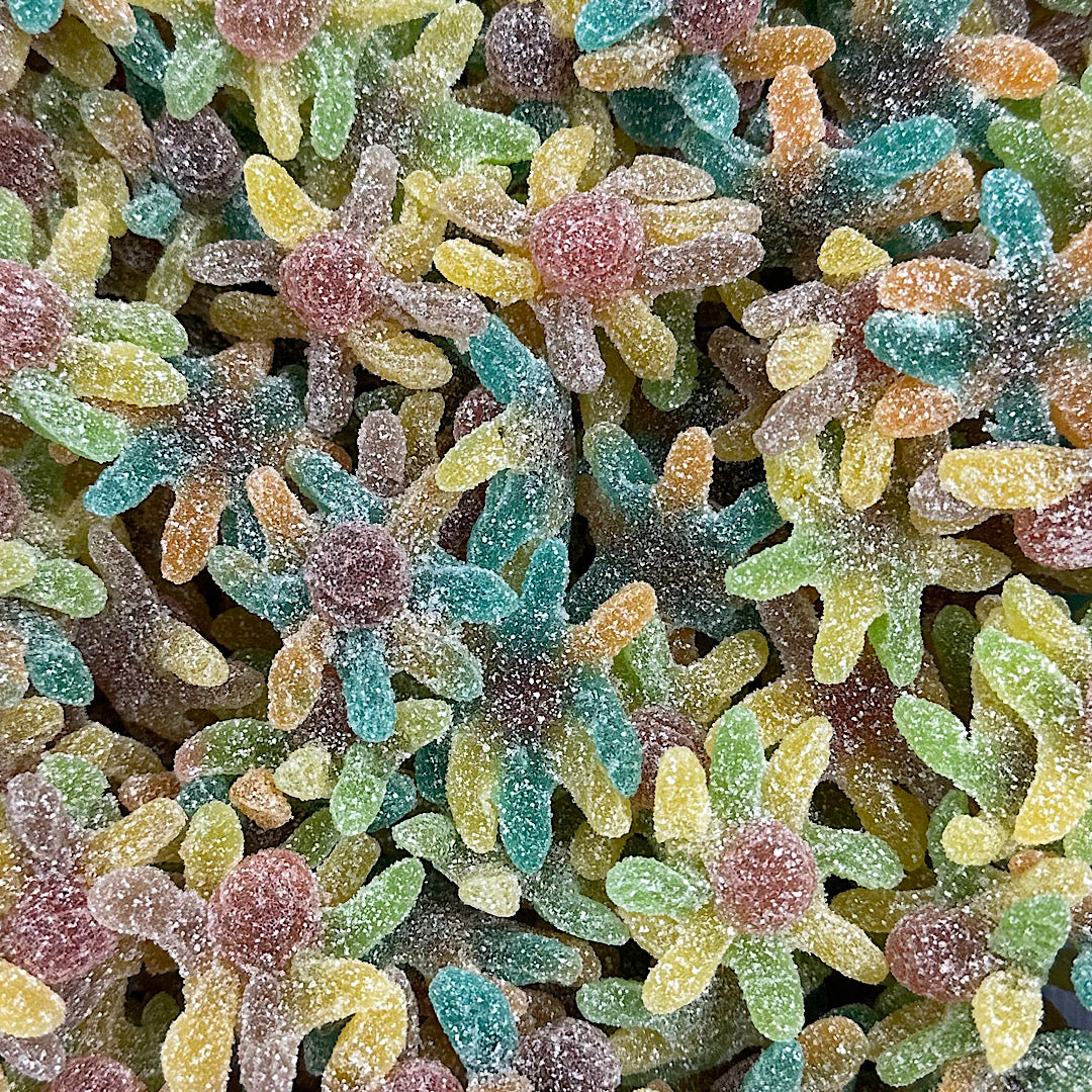 UK Sour Octopuses