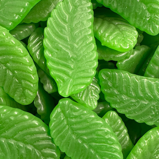 Mayceys Giant Spearmint Leaves