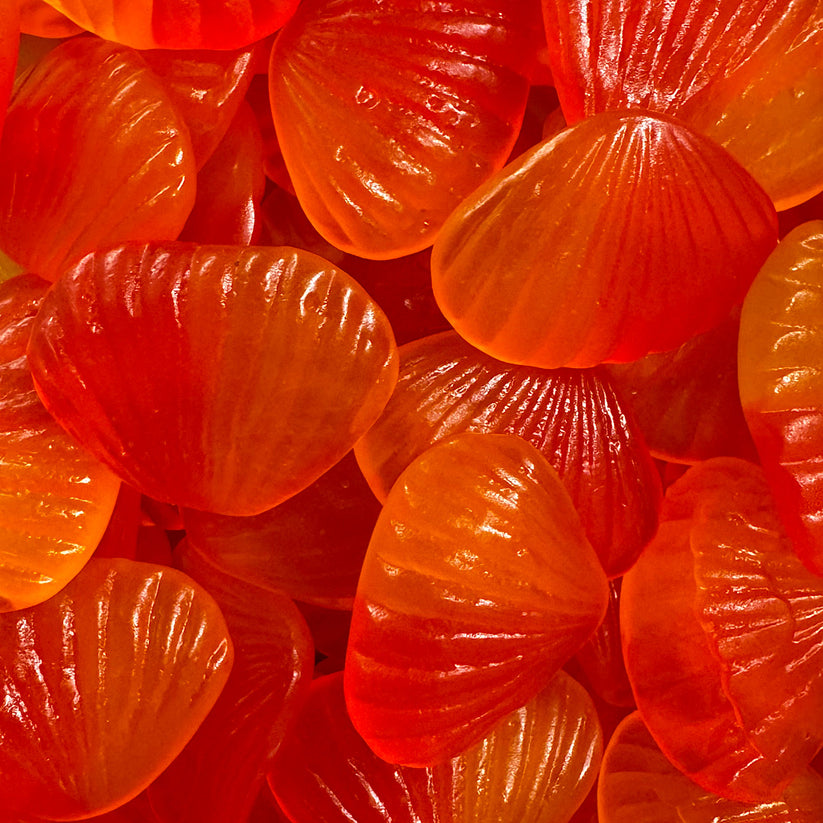 Gummi Seashells – Eat Sweet Lollies