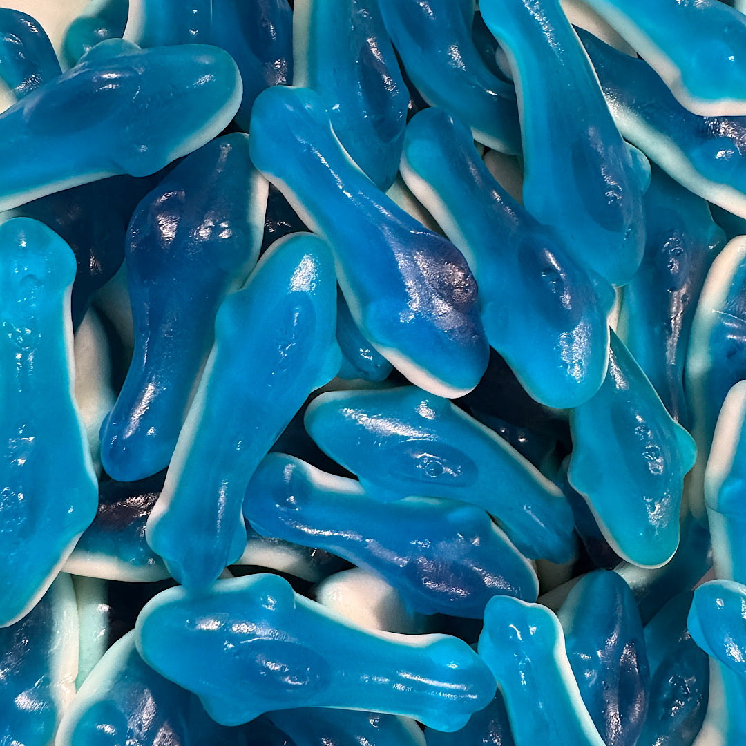 Gummi Blue Sharks