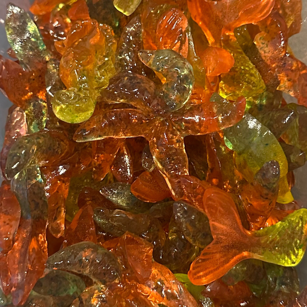 Jelly Sea Creatures
