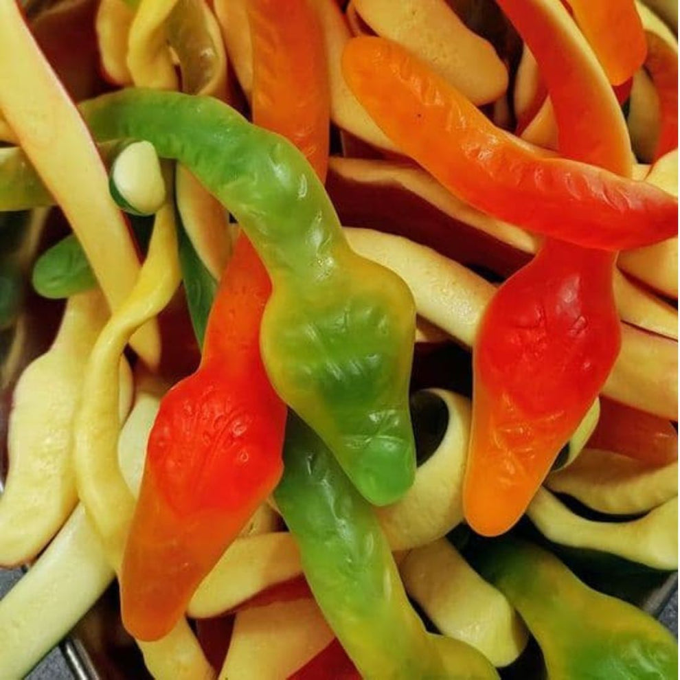 Yellow Belly Pythons – Eat Sweet Lollies
