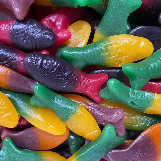 Colourful Fish